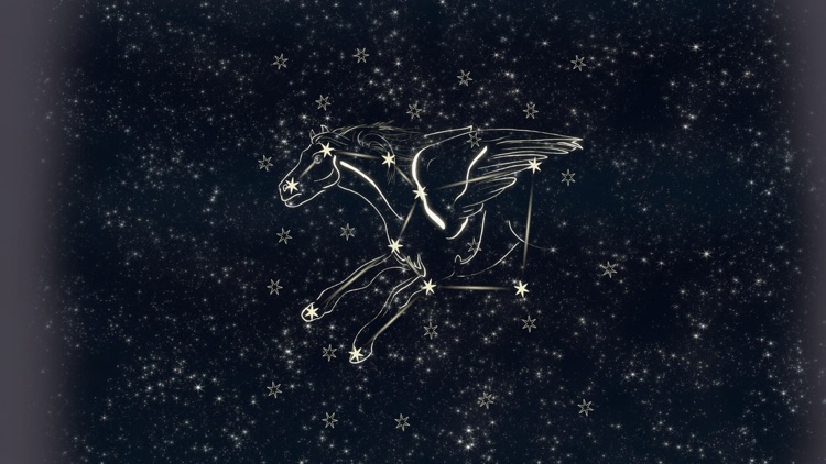 Pengunaut Trainer screenshot-3