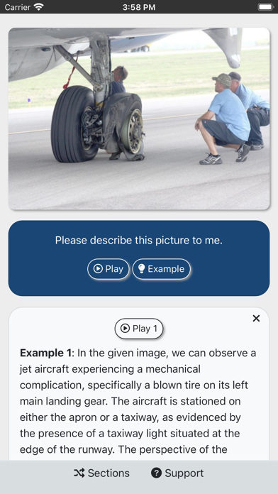 ICAO - English for Aviation Screenshot