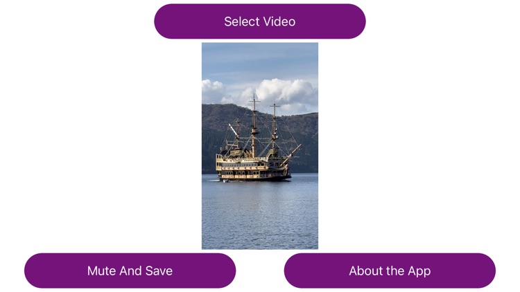 Mute Video Sound PRO