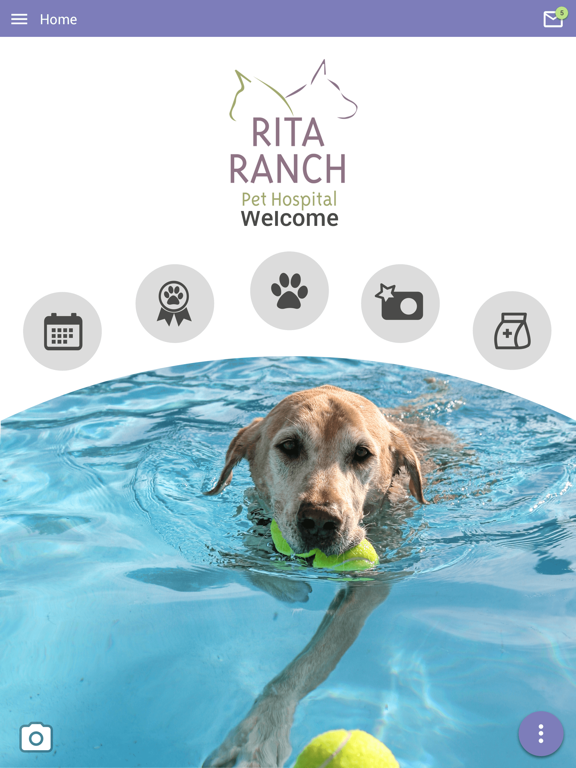 Screenshot #4 pour Rita Ranch Pets