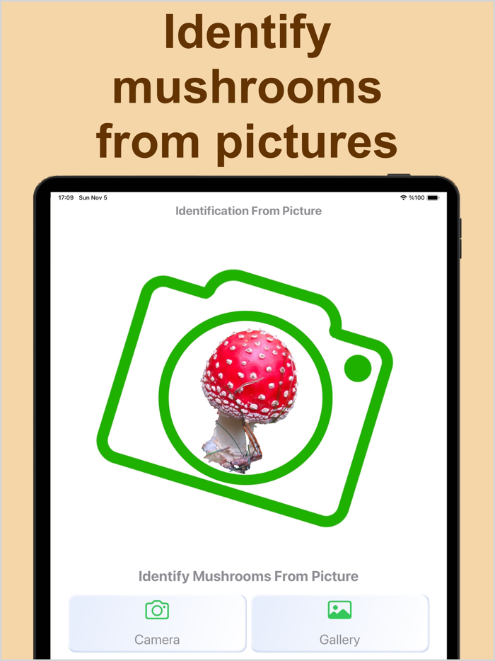 Forest Mushroom Identification