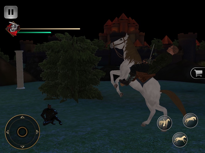 Shadow RPG Fighting Games