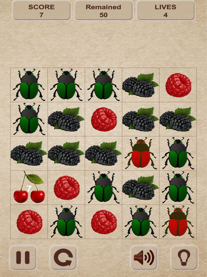 Berries and Bugs