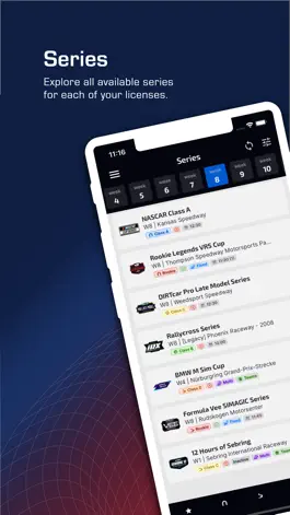Game screenshot iRacing Companion hack