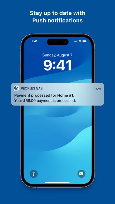 Peoples Gas Chicago Screenshot