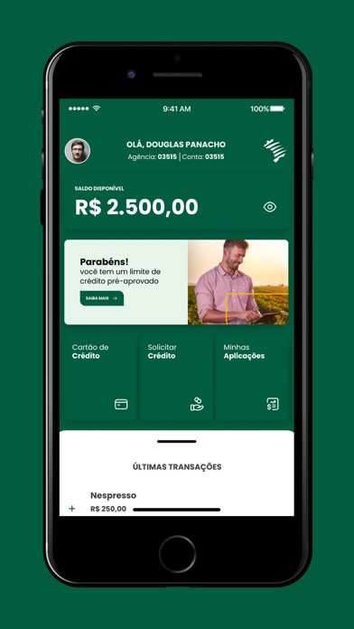 Agrofel Bank Screenshot