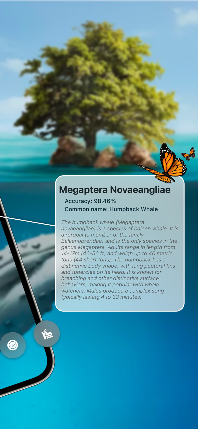 Identify Anything AI Scanner