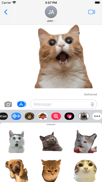 Cute Cat Meme Screenshot