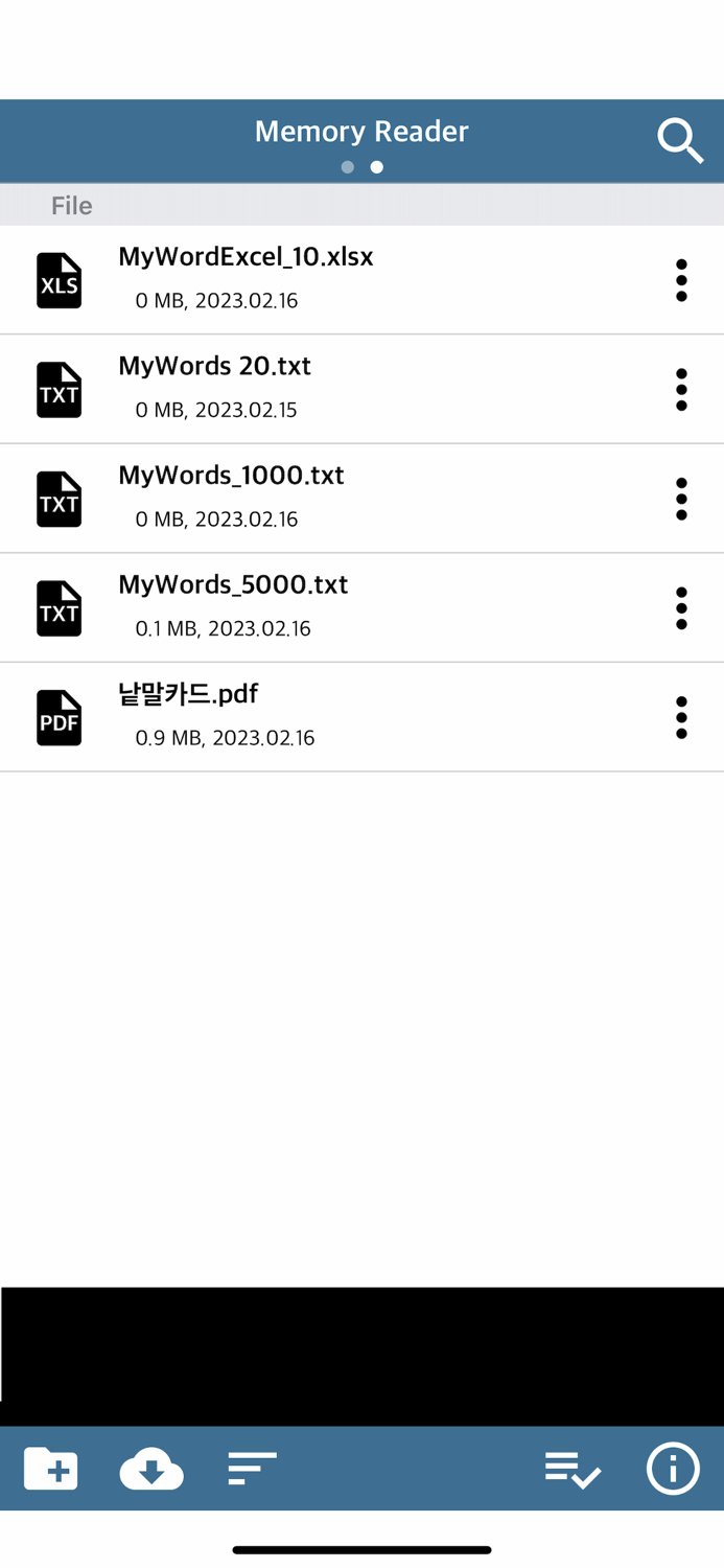 Memory Reader - Flash Word