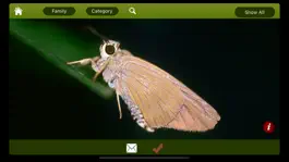 Game screenshot Butterfly eGuide apk