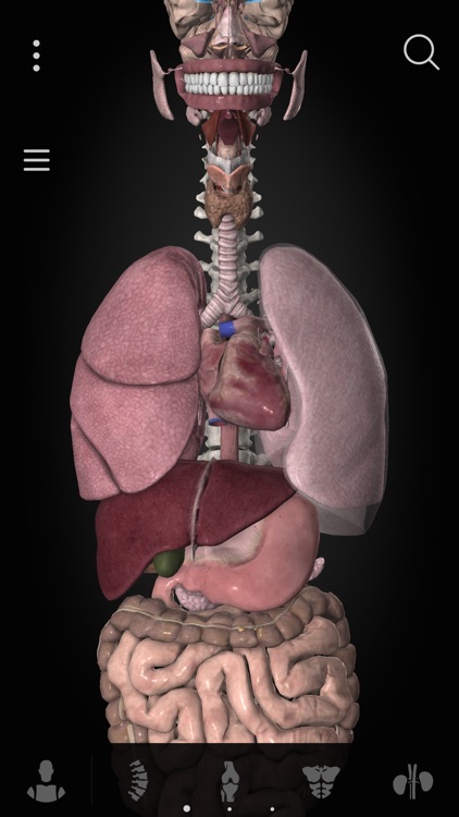 Anatomyka screenshot-6