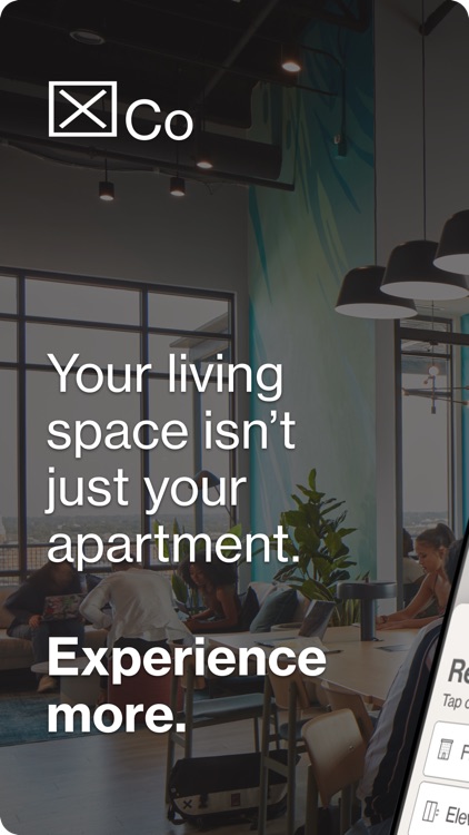 The X Company - Mosaic