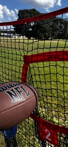 QB Drive screenshot 1