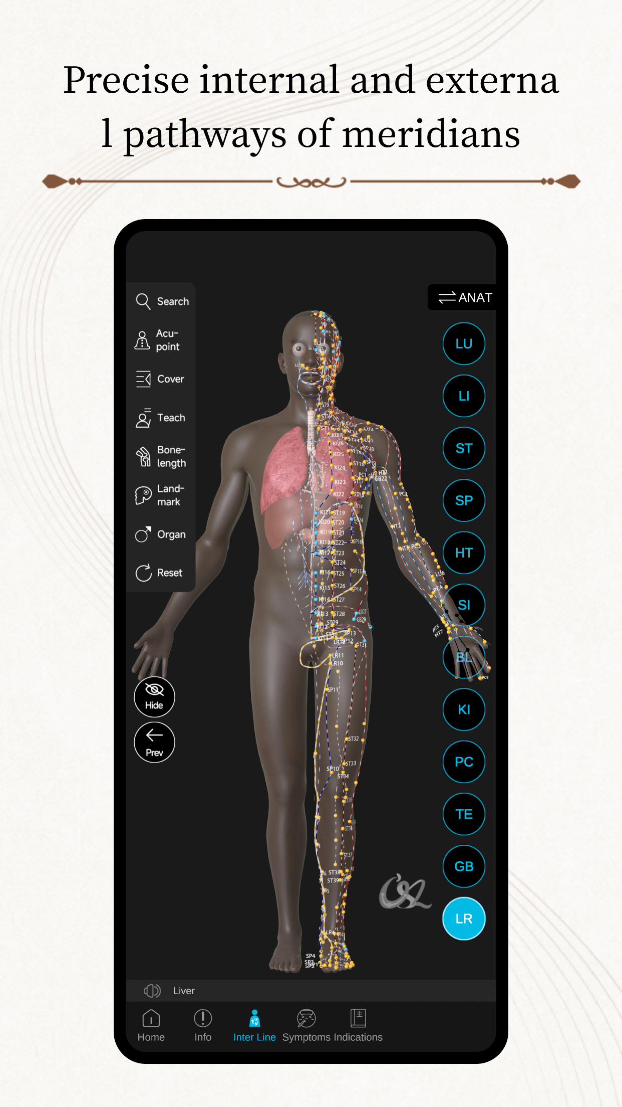 Messavox