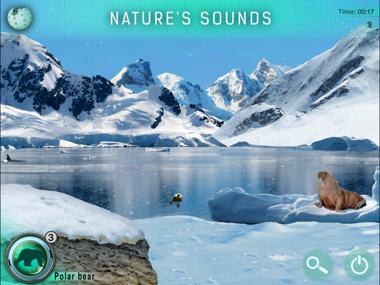 Hidden Animals: Seek and Find iPad screenshot 6 - Games app