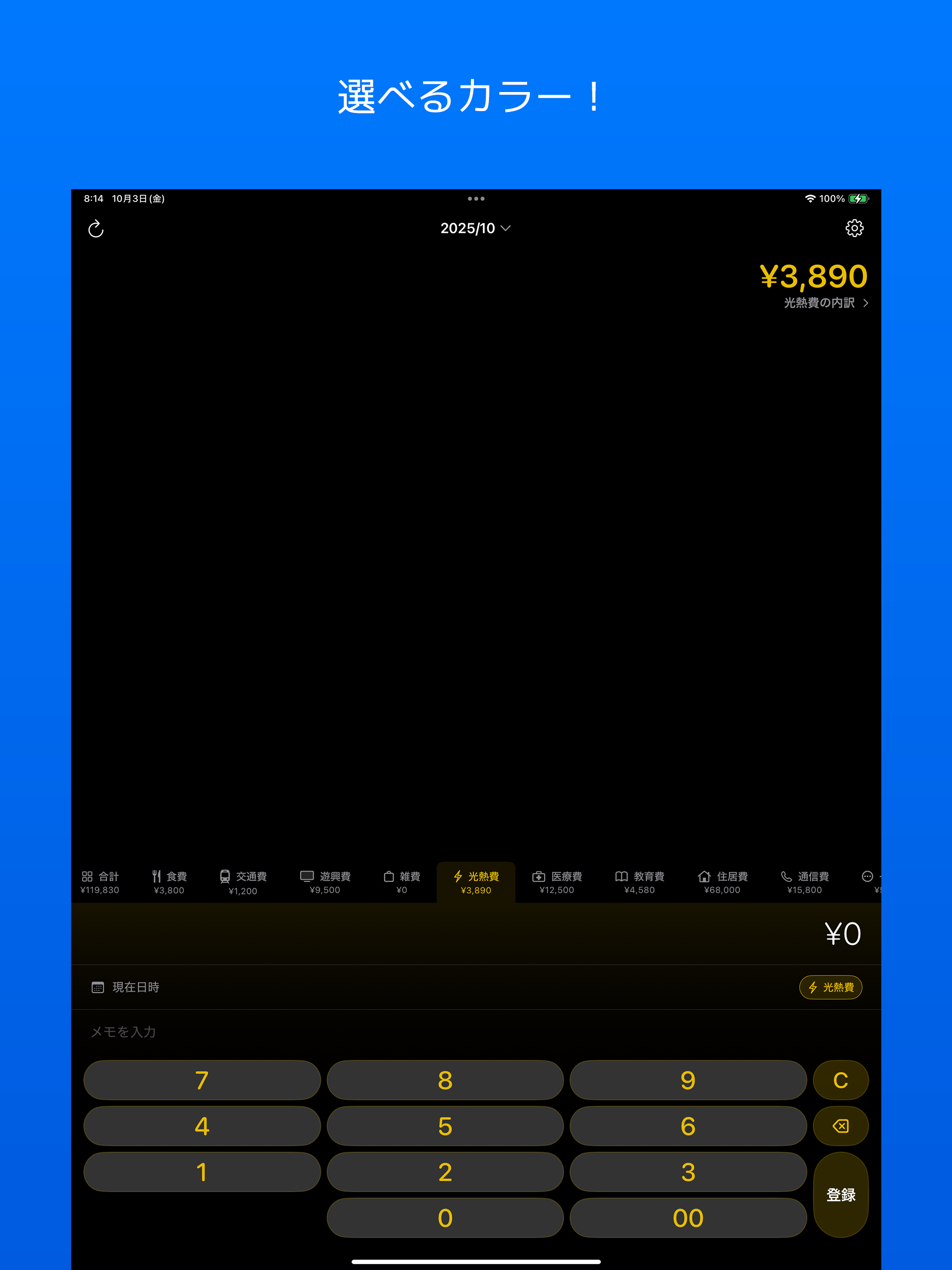 超簡単家計簿 screenshot 11