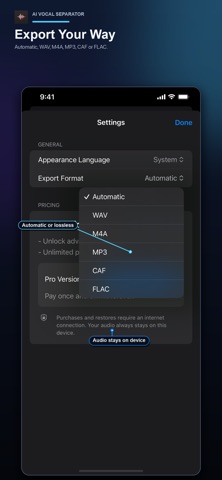 AI Vocal Separator iPhone screenshot