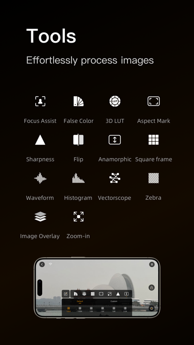 HollyView Screenshot
