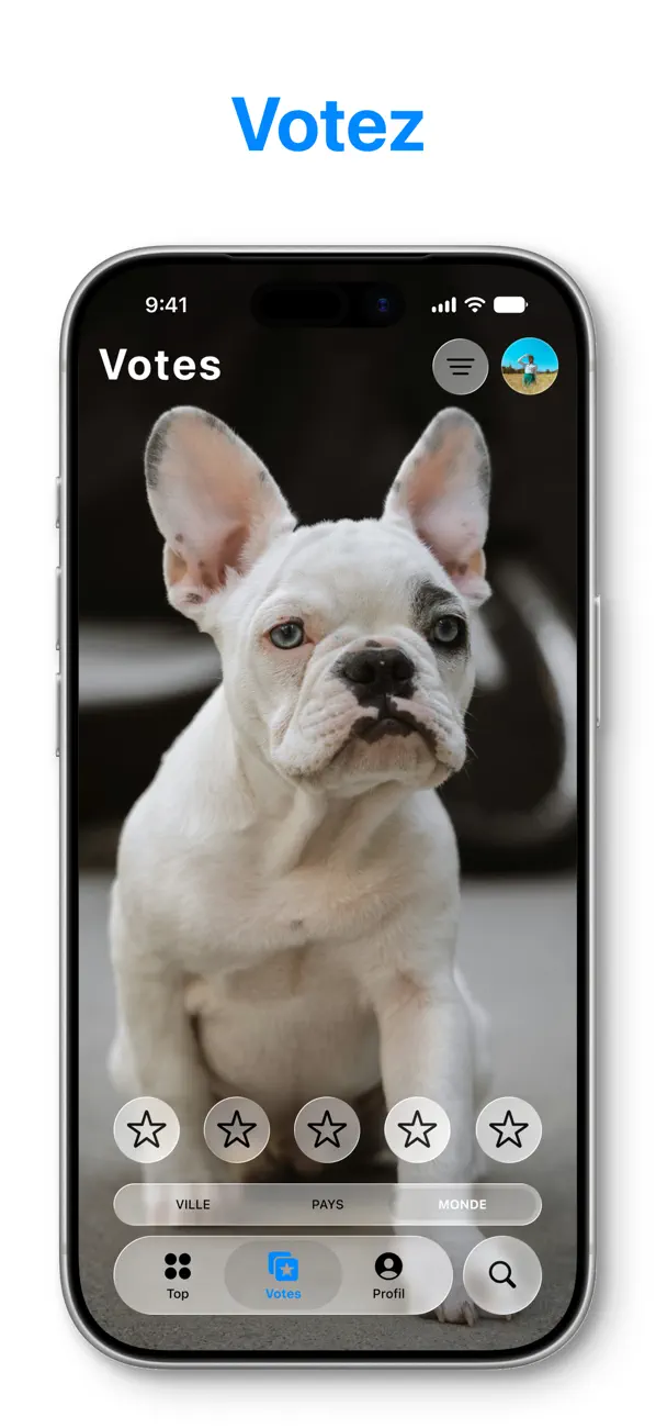 Screenshot #2 pour Petsvote