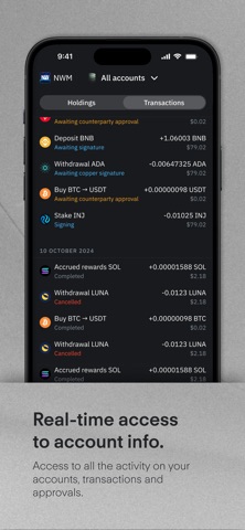 Copper Screenshot 4 of 7