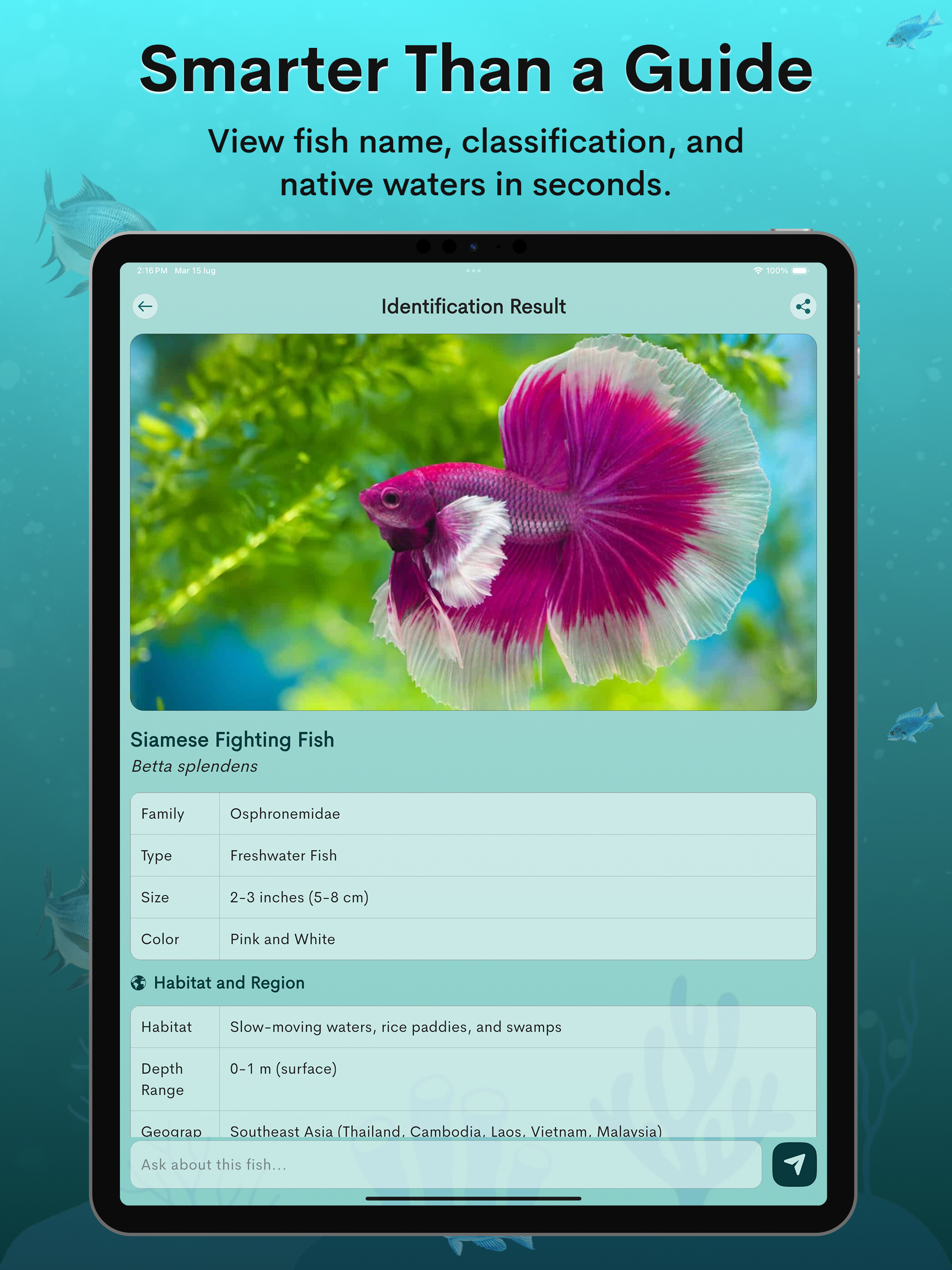 Fish Identifier by Photo screenshot 7
