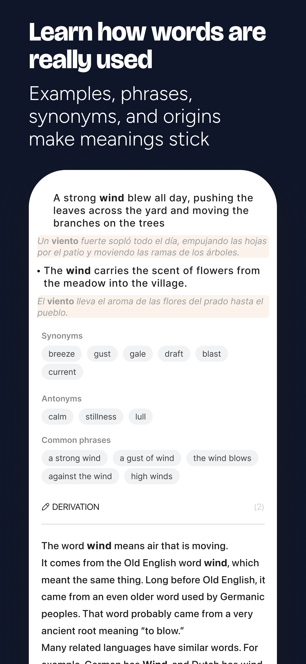 Geek Dictionary: Bilingual ESL screenshot 5