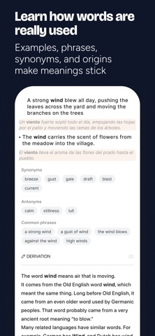 Geek Dictionary: Bilingual ESL Screenshot 5 of 8