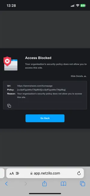Netzilo Secure Browser screenshot 2