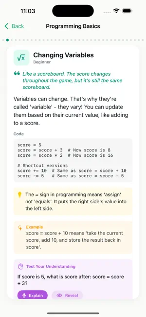 CS Micro-Lessons screenshot 4