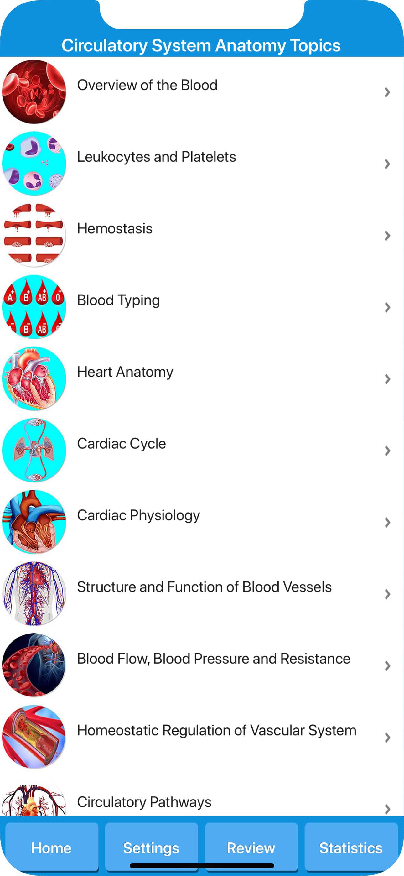 Circulatory System Anatomy screenshot 2