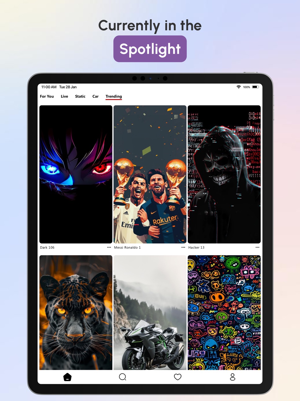iPad screenshot