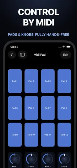 Captura de pantalla de Overdrive Pedal: AUv3 Plugin en iPhone 4