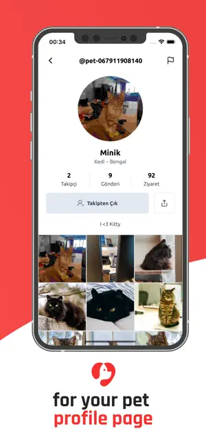 Kitty Kitty – Pet Social screenshot 2