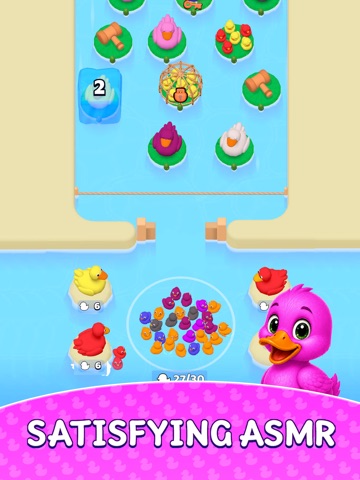 Ducky Sort iPad screenshot