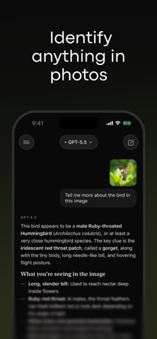 Any AI: Chatbot, Image & Video iPhone screenshot