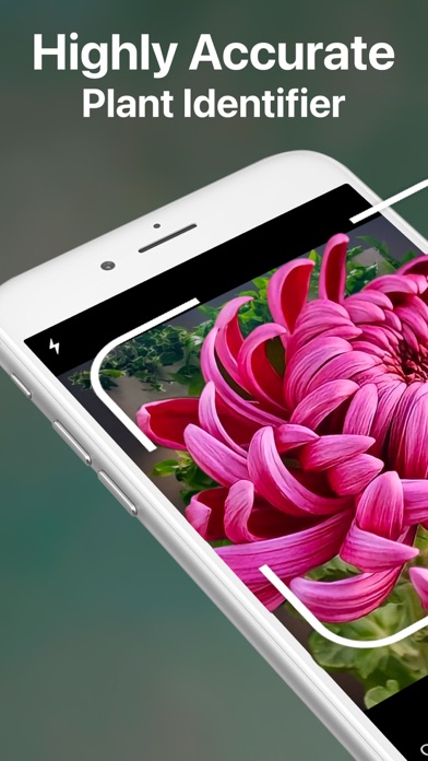 AI Plant Identifier Care Tips Screenshot