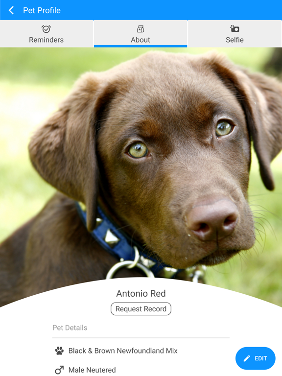 All Pets Hospital iPad screenshot