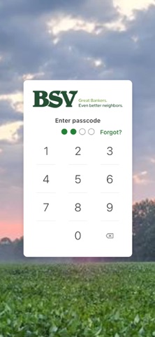 BSV Mobile Screenshot 2 of 4