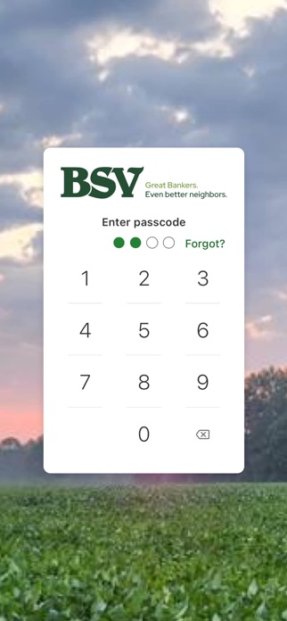 BSV Mobile Screenshot 2 of 4