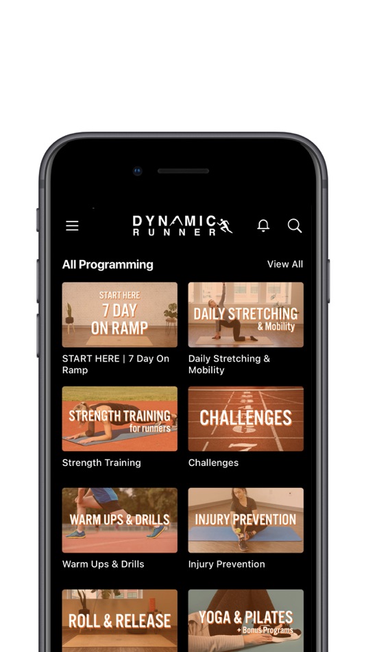#3. Dynamic Runner (iOS) 由: Flexible Marketing Media Inc