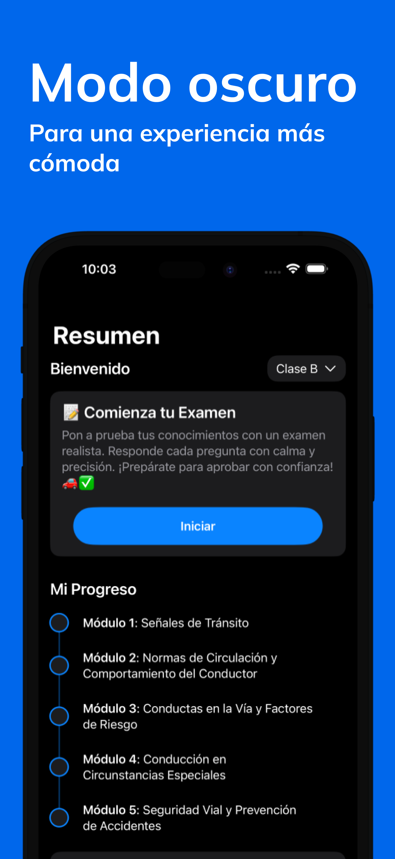 Test de conducir Chile 2026