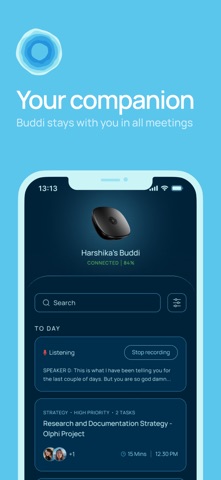 Buddi AI screenshot