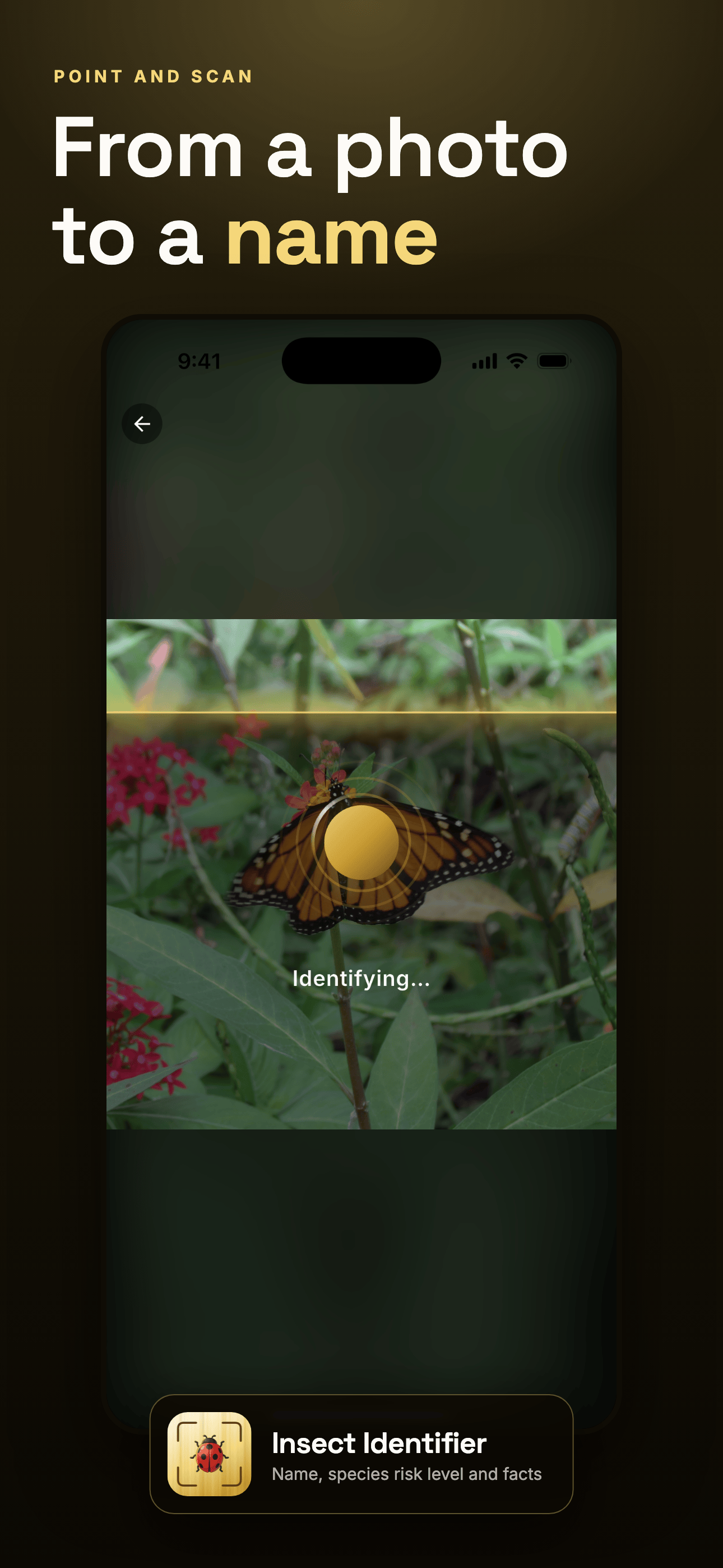 Insect Identifier & Bug ID screenshot 6