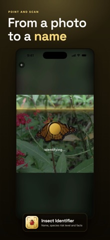 Insect Identifier & Bug Finder iPhone screenshot