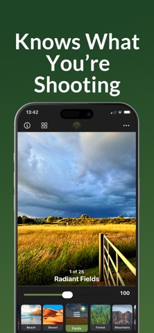 Radiant Landscape Camera screenshot
