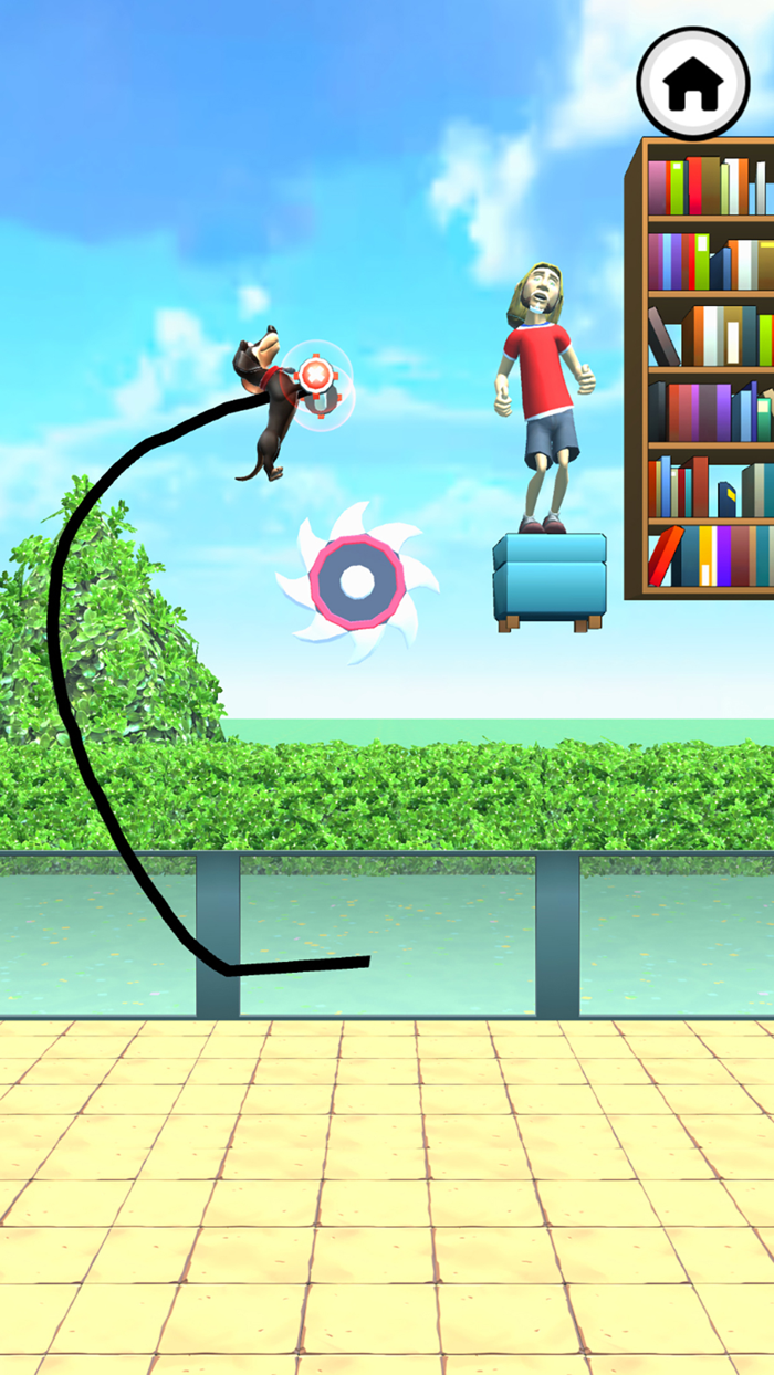 Cat Vs Dog Draw To Fight