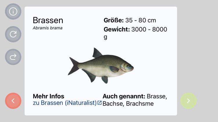 Angelschein NRW - Fischarten