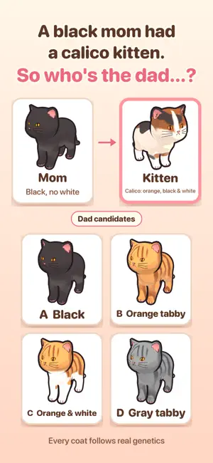 Whose Kitten? screenshot 2