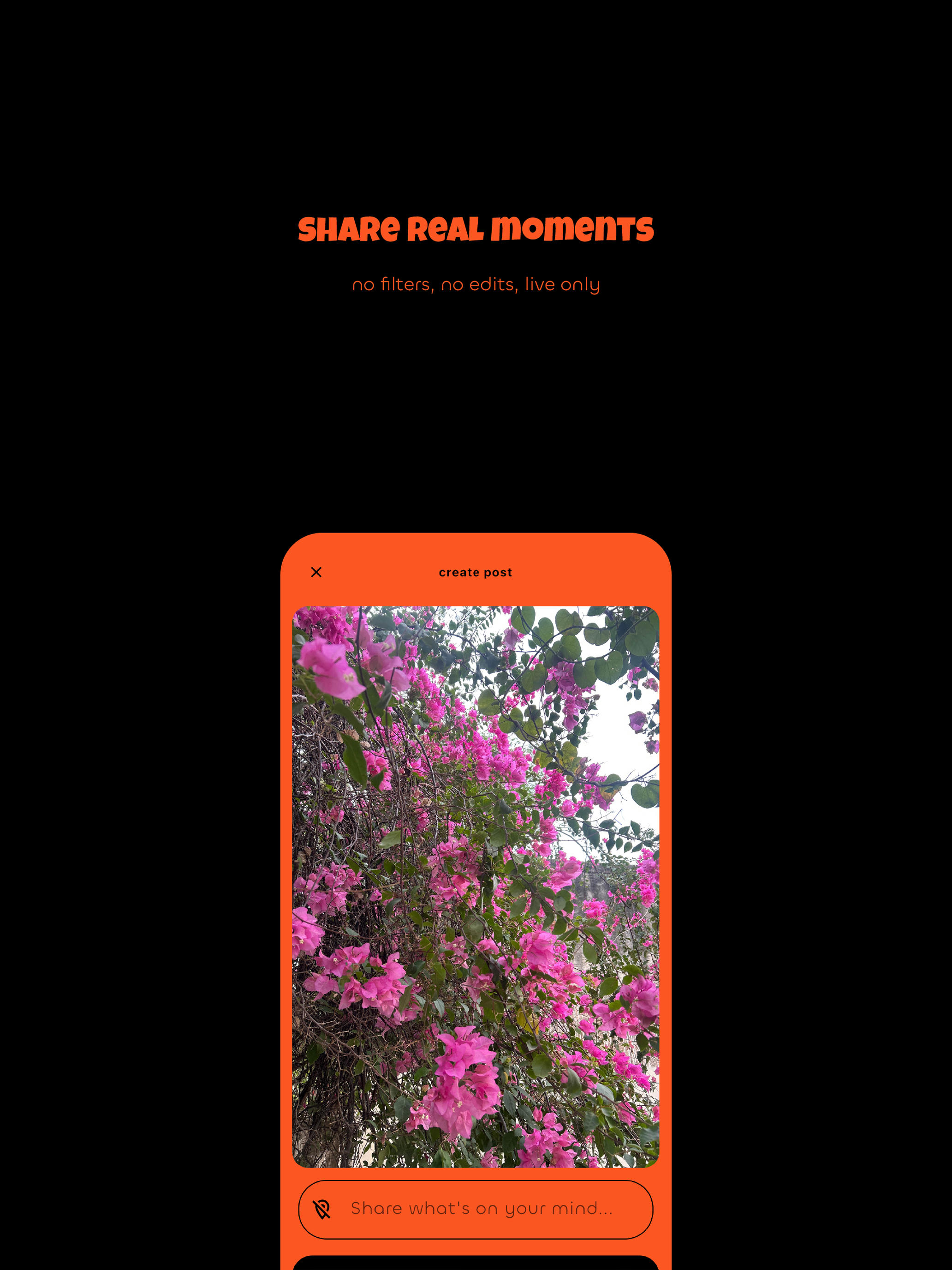 maphood screenshot 10