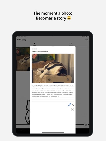 Cat's Diary – Photo & Reminder iPad screenshot